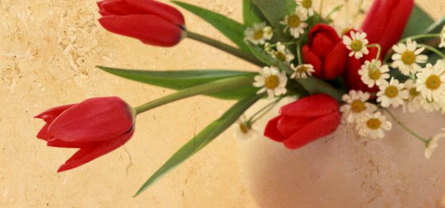 カタログギフトについて